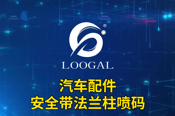 汽車配件-安全帶法蘭柱噴碼